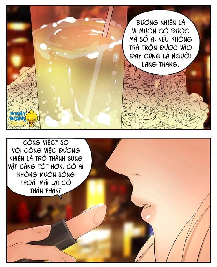 Cứu Mạng! Loài Mèo Thống Trị Thế Giới Rồi! Chapter 18 - Trang 2