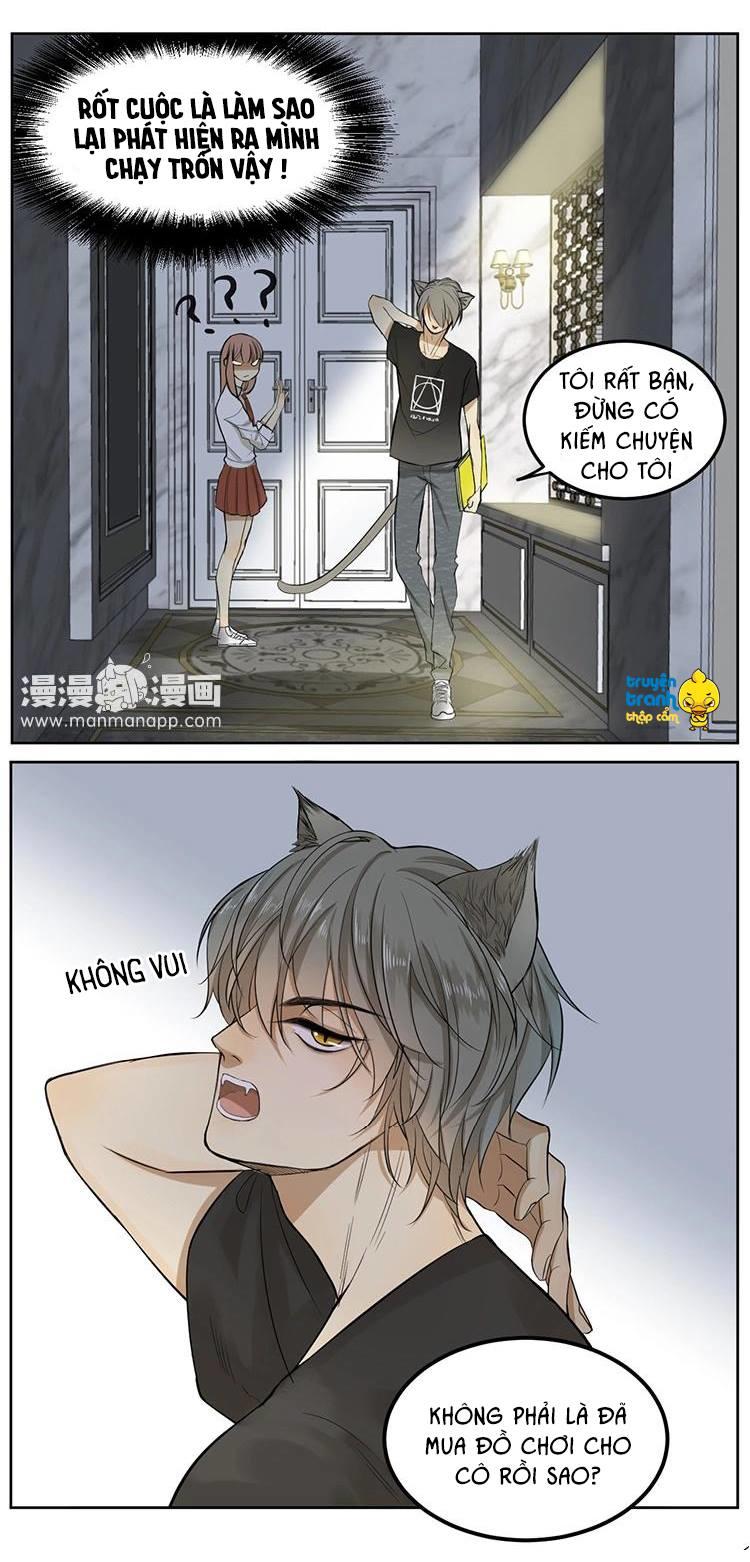 Cứu Mạng! Loài Mèo Thống Trị Thế Giới Rồi! Chapter 5 - Trang 2