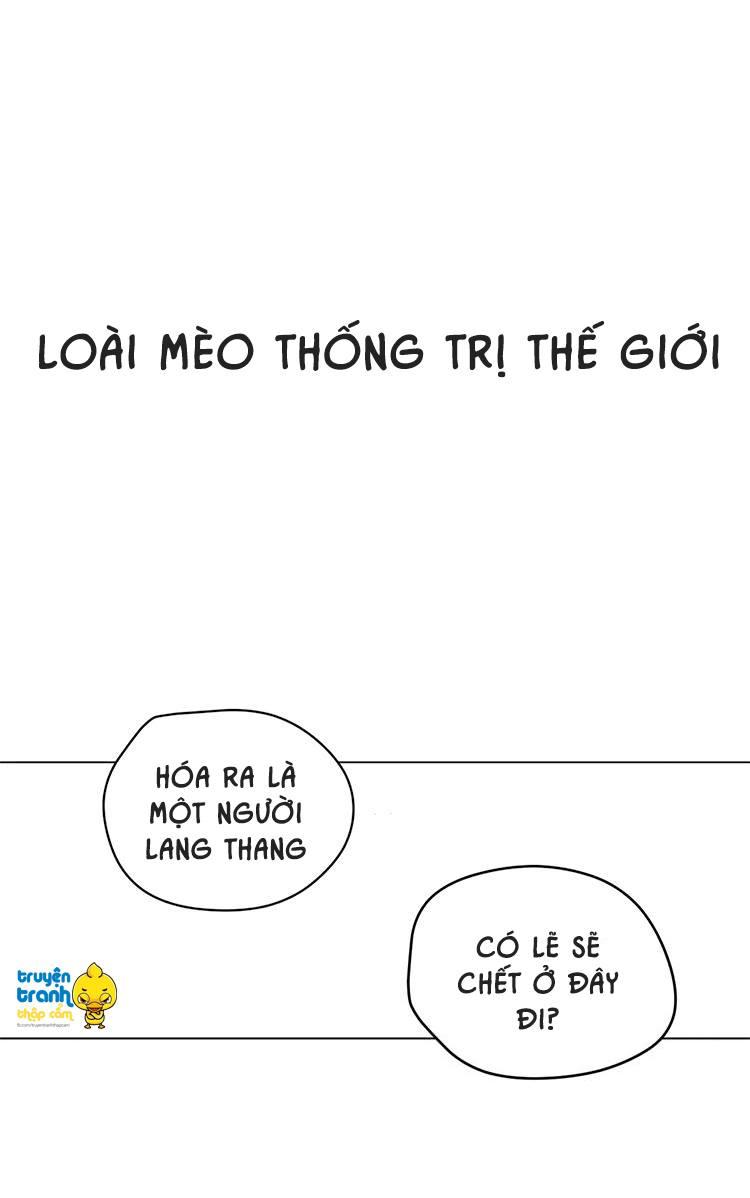 Cứu Mạng! Loài Mèo Thống Trị Thế Giới Rồi! Chapter 1 - Trang 2