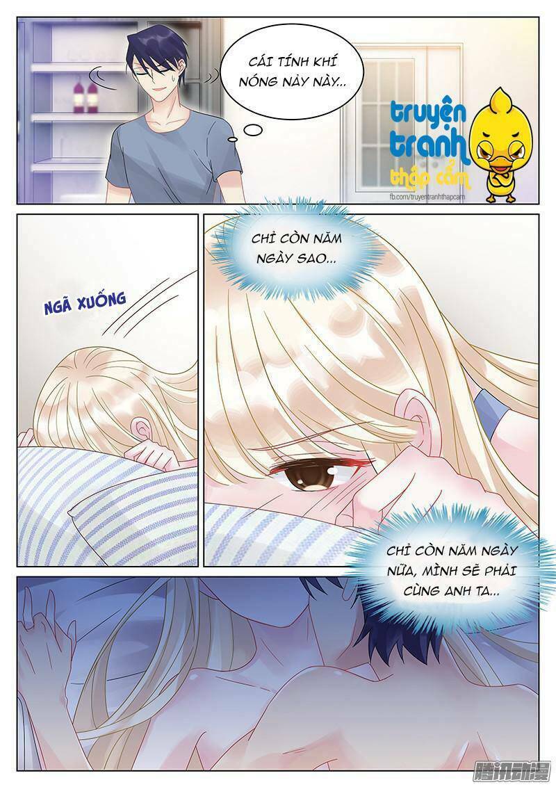 Nhạ Thượng Thủ Tịch Tổng Tài Chapter 28 - Trang 2