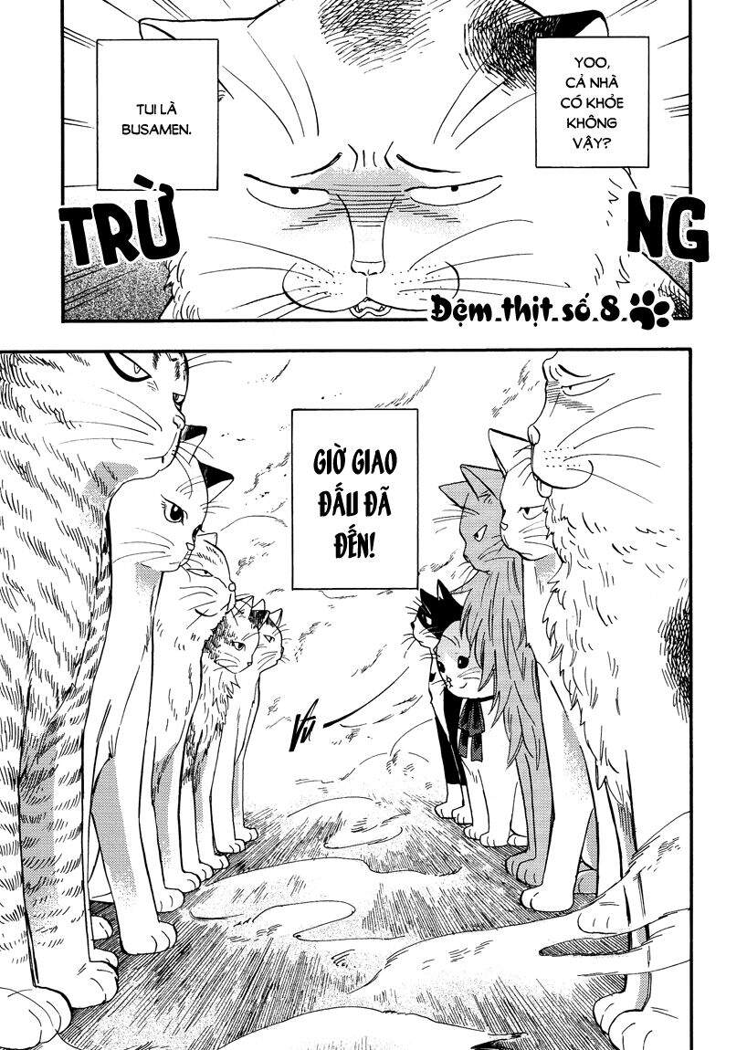 Tui Là Busamen Chapter 8 - Trang 2