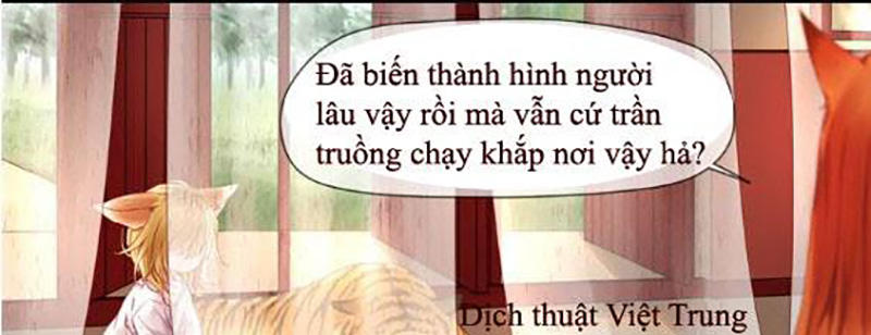 Lượm Được Một Tiểu Hồ Ly Chapter 1 - Trang 2