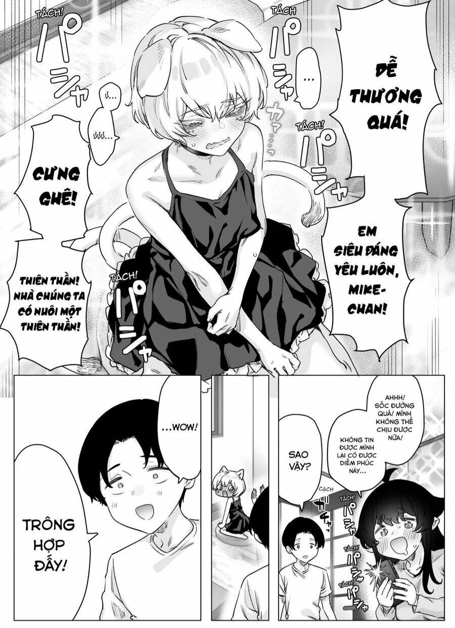 Cho Dù Cổ Không Ăn Lại Nữ Chính, Nhưng Bakeneko-Chan Vẫn Sẽ Cố Gắng Chapter 4 - Trang 2