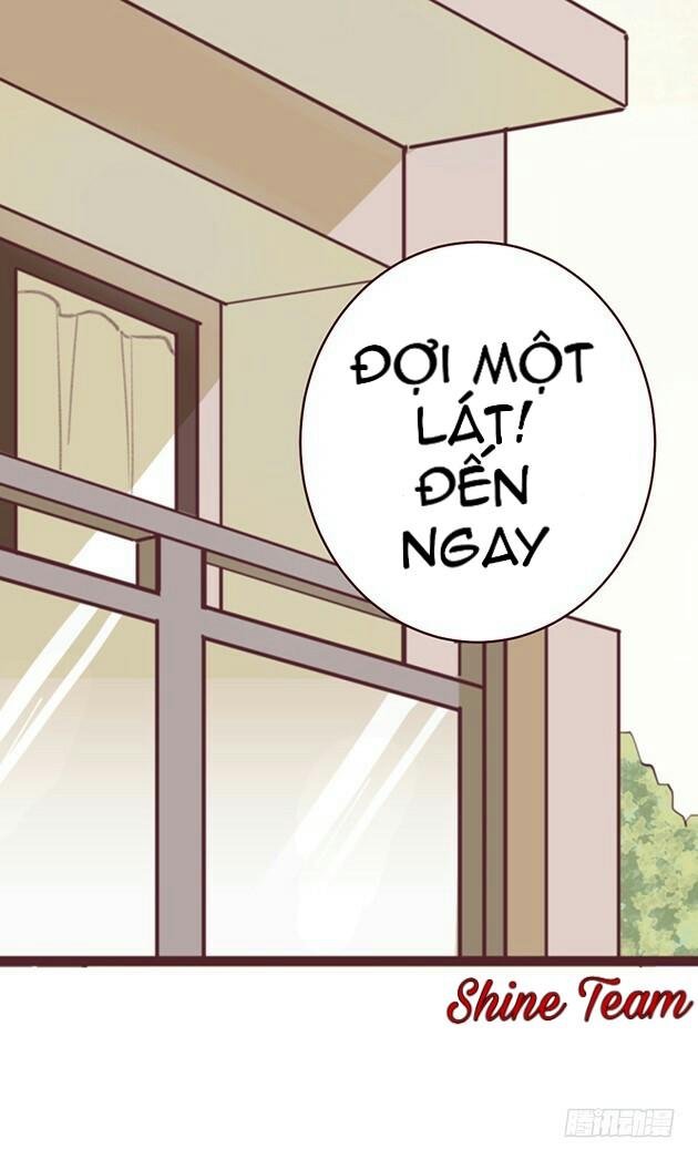 Hoa Anh Đào Rơi Đẹp Như Em Chapter 1 - Trang 2