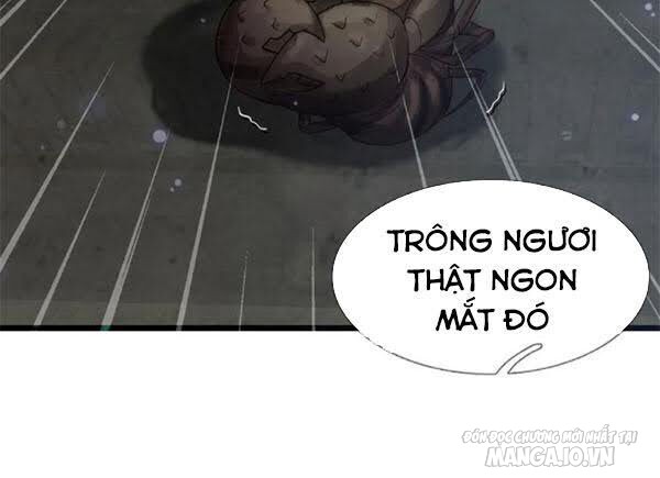 Ngạo Thị Thiên Địa Chapter 189 - Trang 2