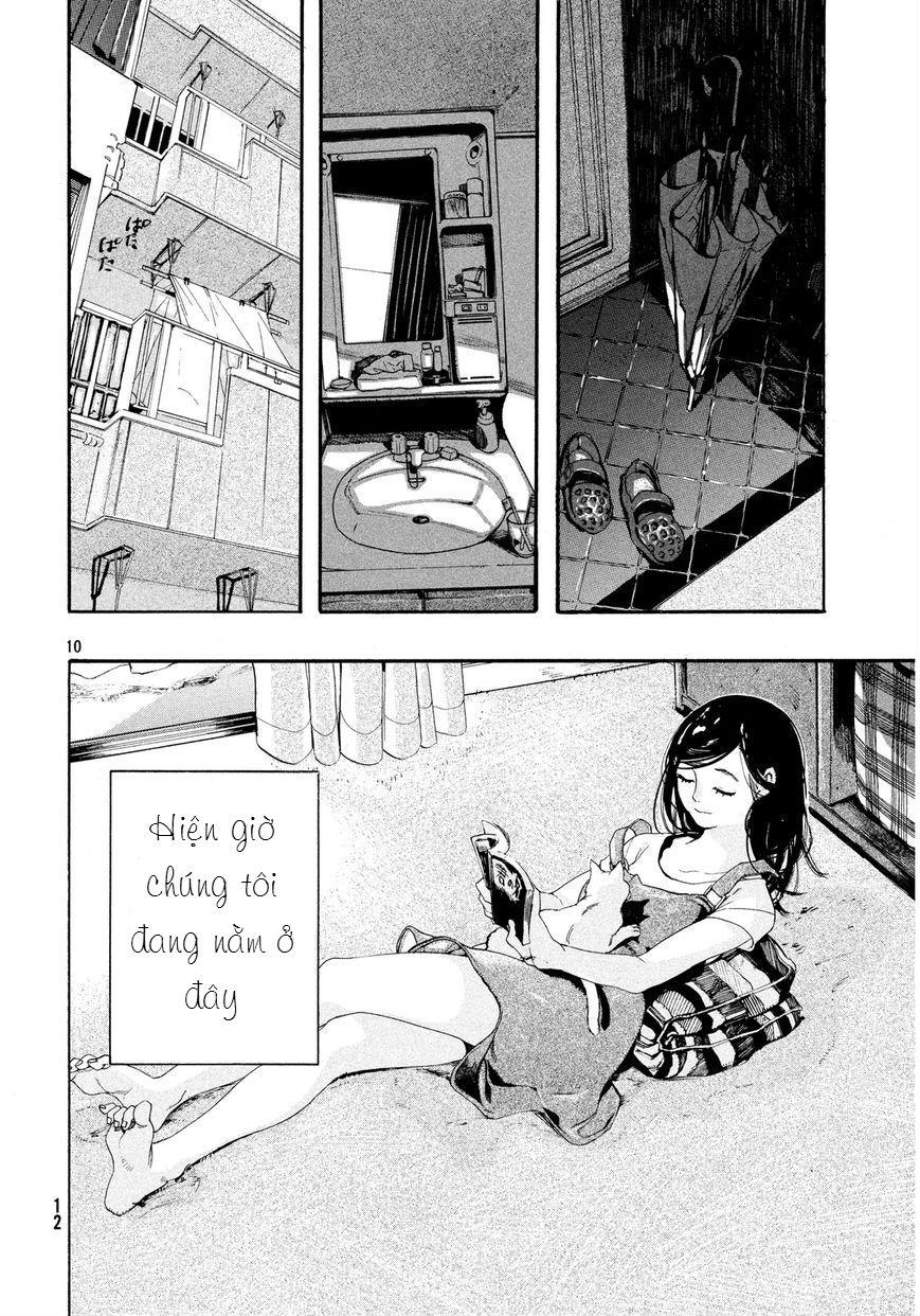 Chú Mèo Và Cô Chủ Chapter 1 - Trang 2