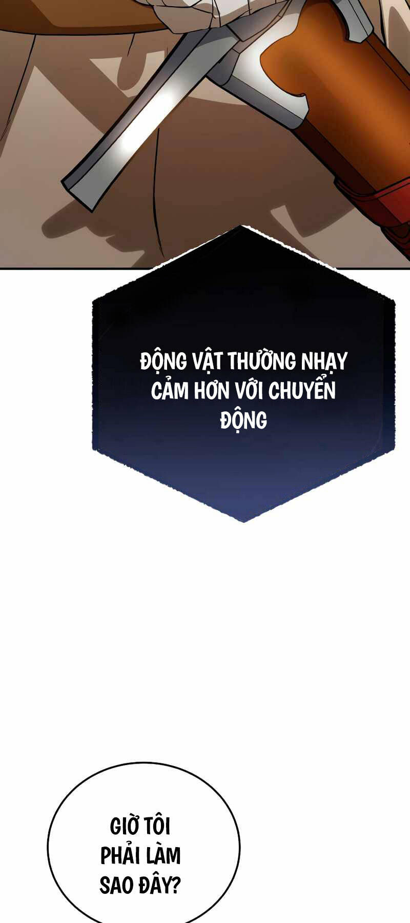 Tinh Tú Kiếm Sĩ Chapter 23 - Trang 2