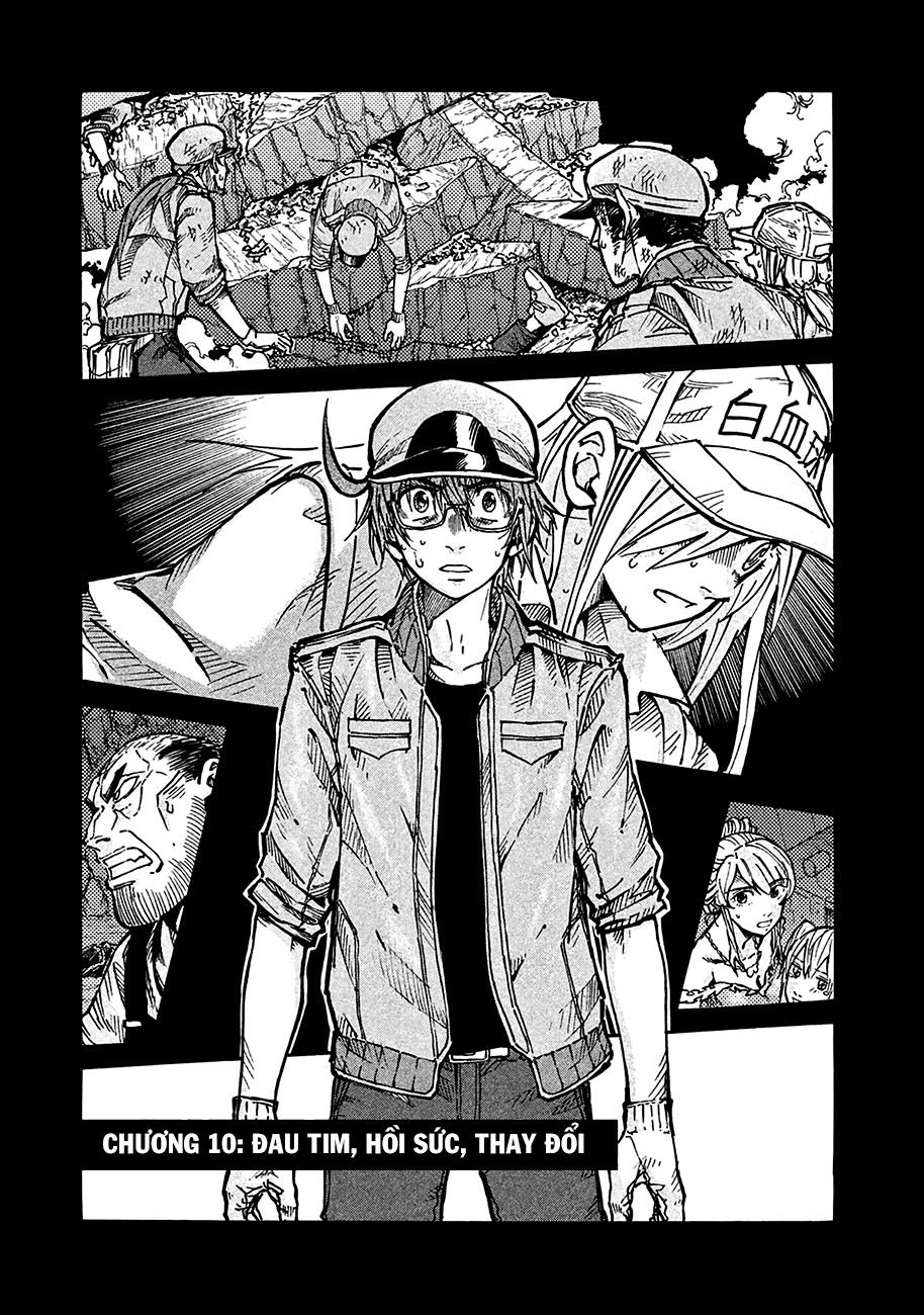 Hataraku Saibou Black Chapter 10 - Trang 2