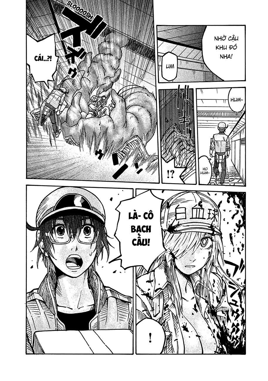 Hataraku Saibou Black Chapter 10 - Trang 2