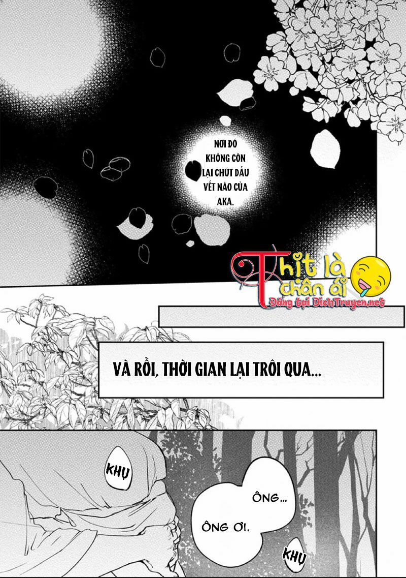 Hoa Trà Đỏ Chapter 3 - Trang 2