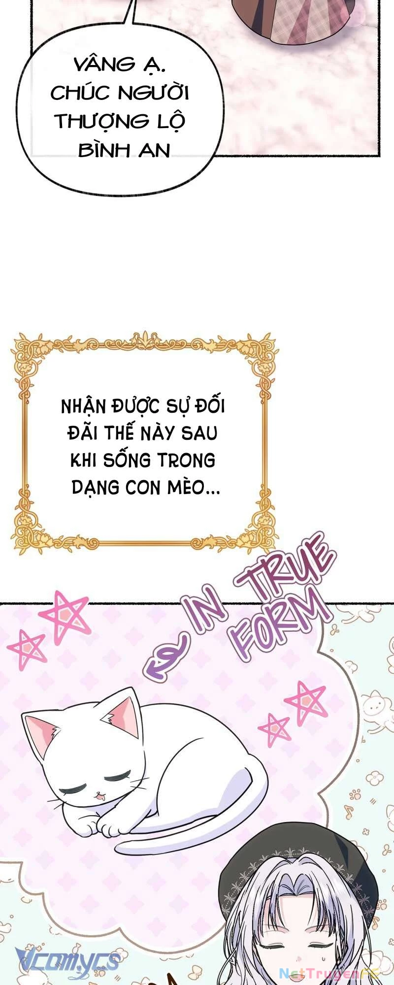 Trở Thành Chú Mèo Ngủ Cùng Bạo Chúa Chapter 31 - Trang 2