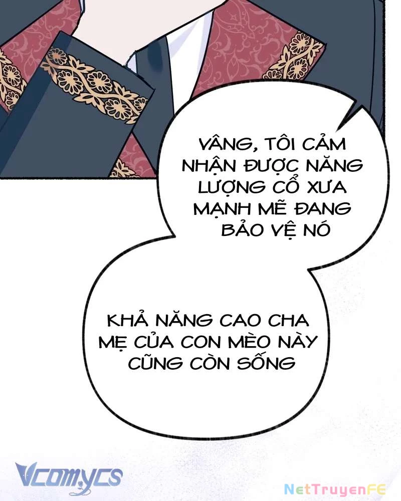 Trở Thành Chú Mèo Ngủ Cùng Bạo Chúa Chapter 7 - Trang 2