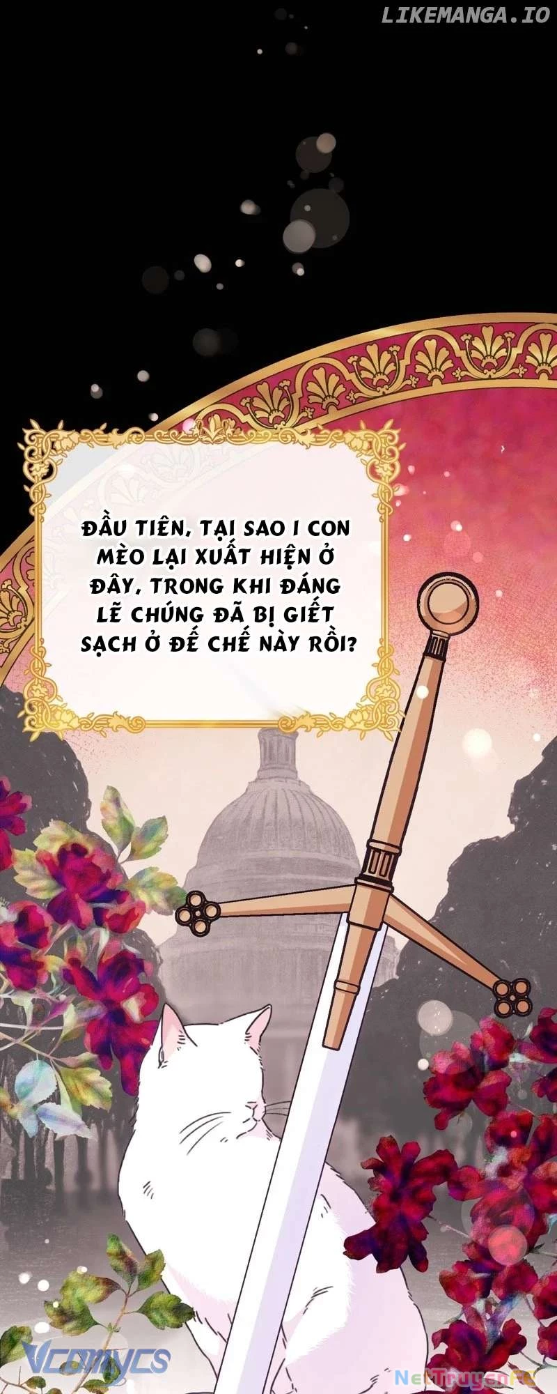 Trở Thành Chú Mèo Ngủ Cùng Bạo Chúa Chapter 4 - Trang 2