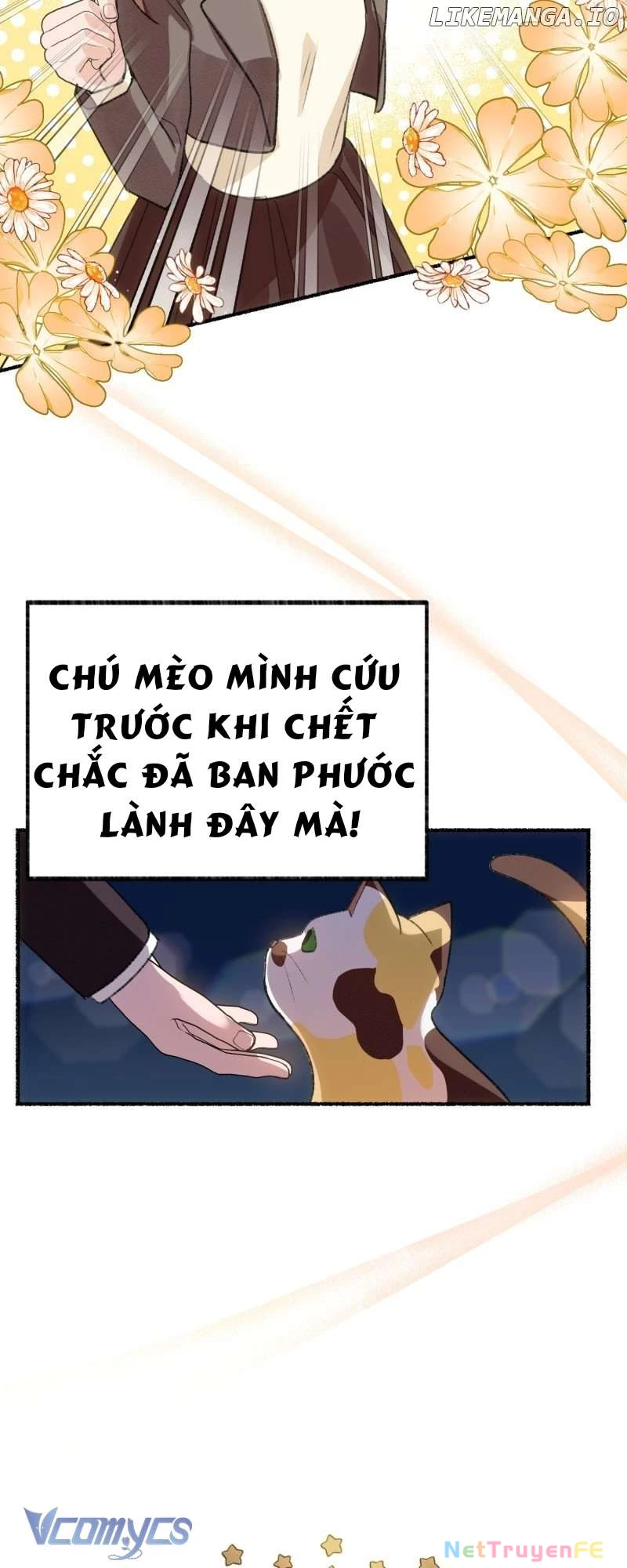 Trở Thành Chú Mèo Ngủ Cùng Bạo Chúa Chapter 1 - Trang 2