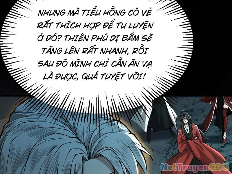 Gặp Mạnh Thì Mạnh, Ta Tu Vi Vô Thượng Hạn Chapter 20 - Trang 2