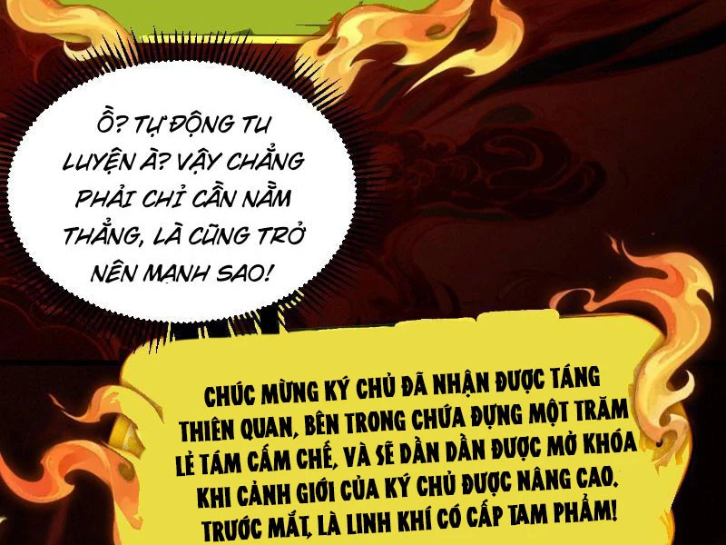 Gặp Mạnh Thì Mạnh, Ta Tu Vi Vô Thượng Hạn Chapter 5 - Trang 2