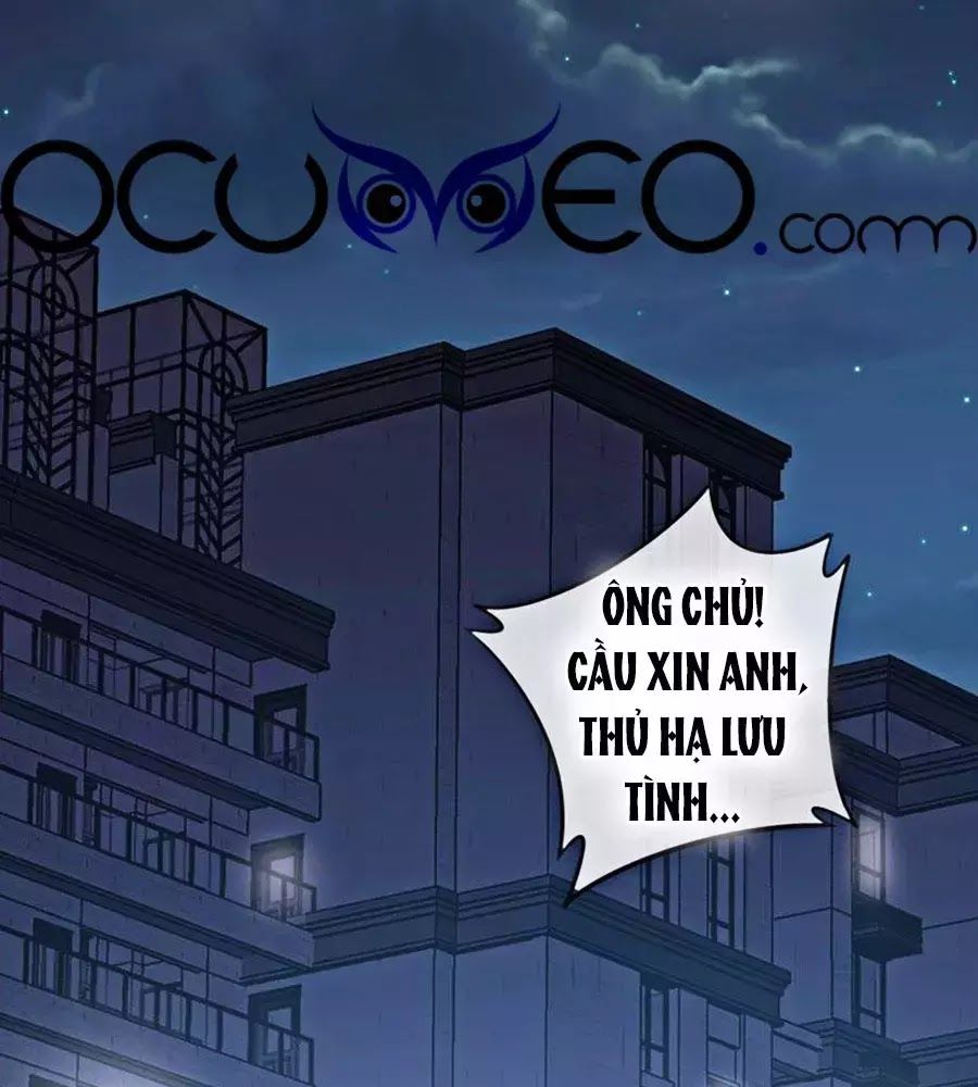 Hai Mặt Cuốn Hút Của Anh Chapter 24 - Trang 2