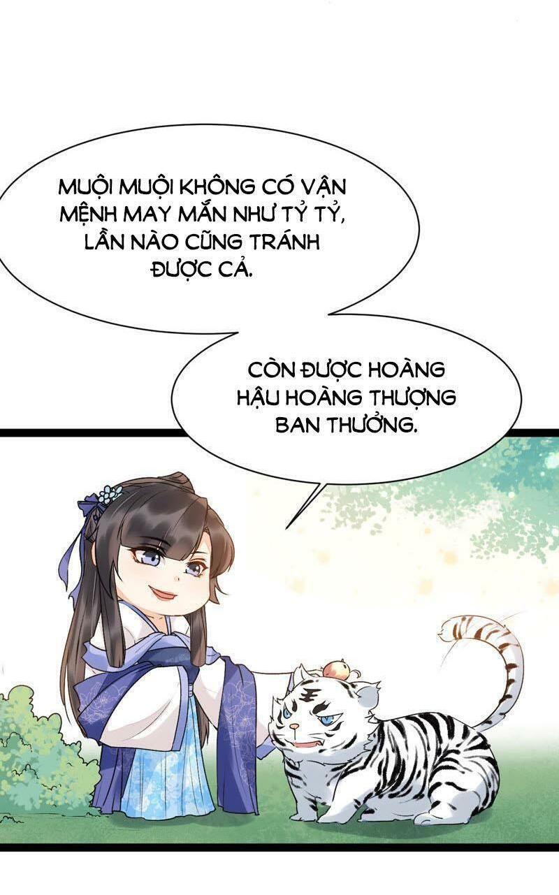 Thịnh Sủng Kiều Nữ Trở Về Triều Ca Chapter 35 - Trang 2