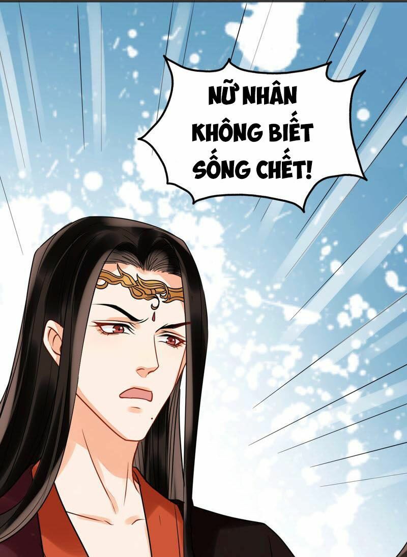 Thịnh Sủng Kiều Nữ Trở Về Triều Ca Chapter 34 - Trang 2