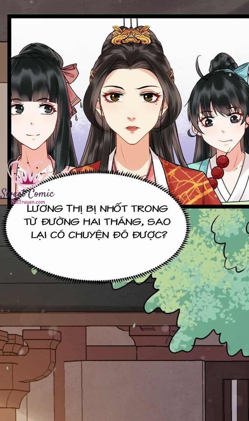 Thịnh Sủng Kiều Nữ Trở Về Triều Ca Chapter 29 - Trang 2