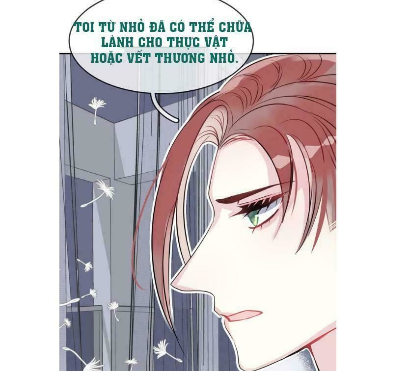 Bộ Váy Của Nhân Ngư Chapter 17 - Trang 2