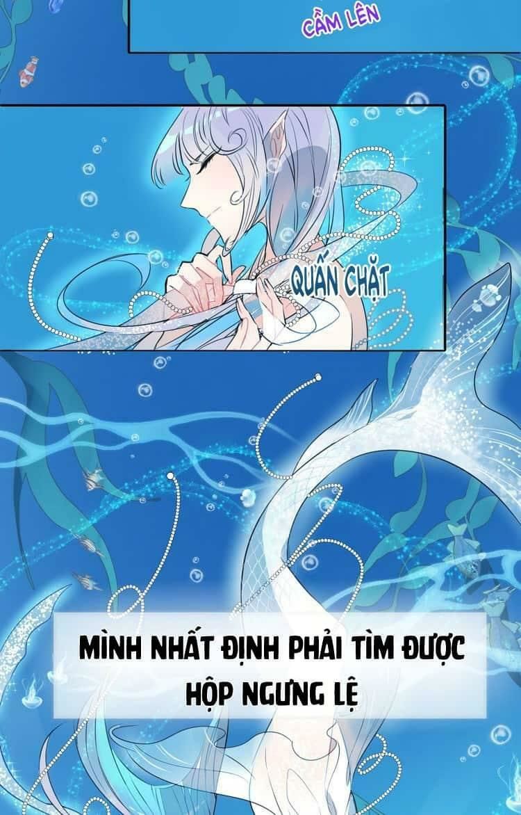 Bộ Váy Của Nhân Ngư Chapter 3 - Trang 2