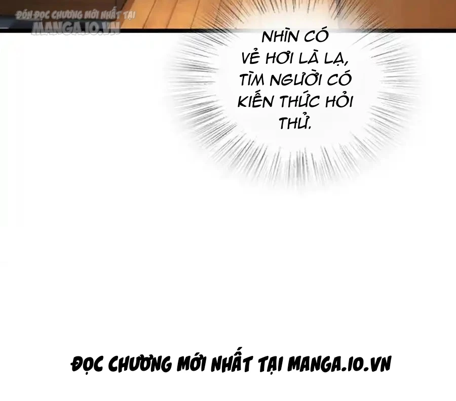 Bà Xã Nhà Tôi Đến Từ Ngàn Năm Trước Chapter 274 - Trang 2