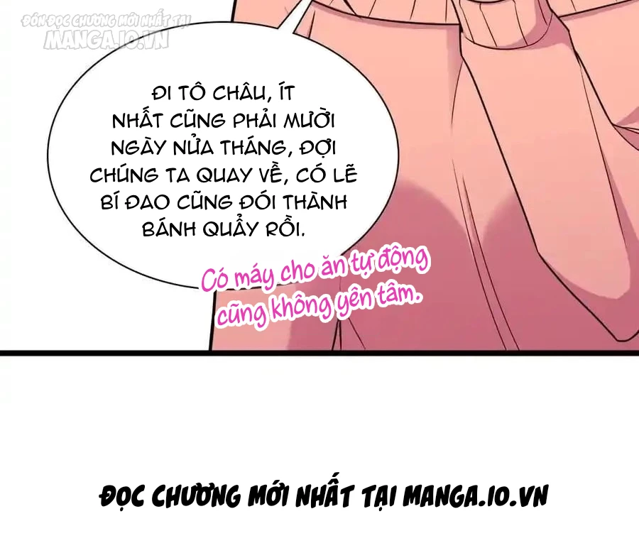 Bà Xã Nhà Tôi Đến Từ Ngàn Năm Trước Chapter 274 - Trang 2