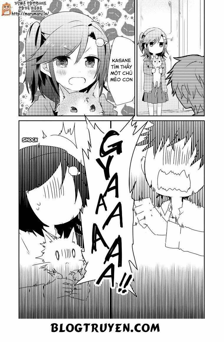 Koneko Hiroimashita Chapter 7 - Trang 2