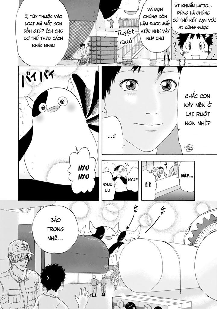 Hataraku Saibou! Chapter 21 - Trang 2