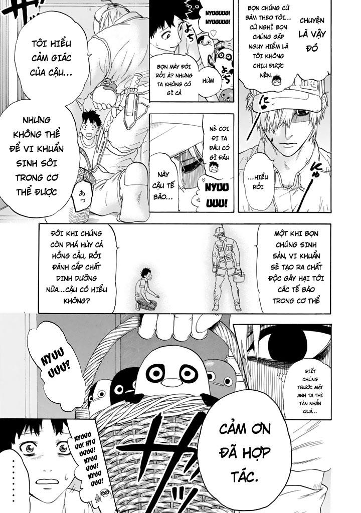 Hataraku Saibou! Chapter 20 - Trang 2