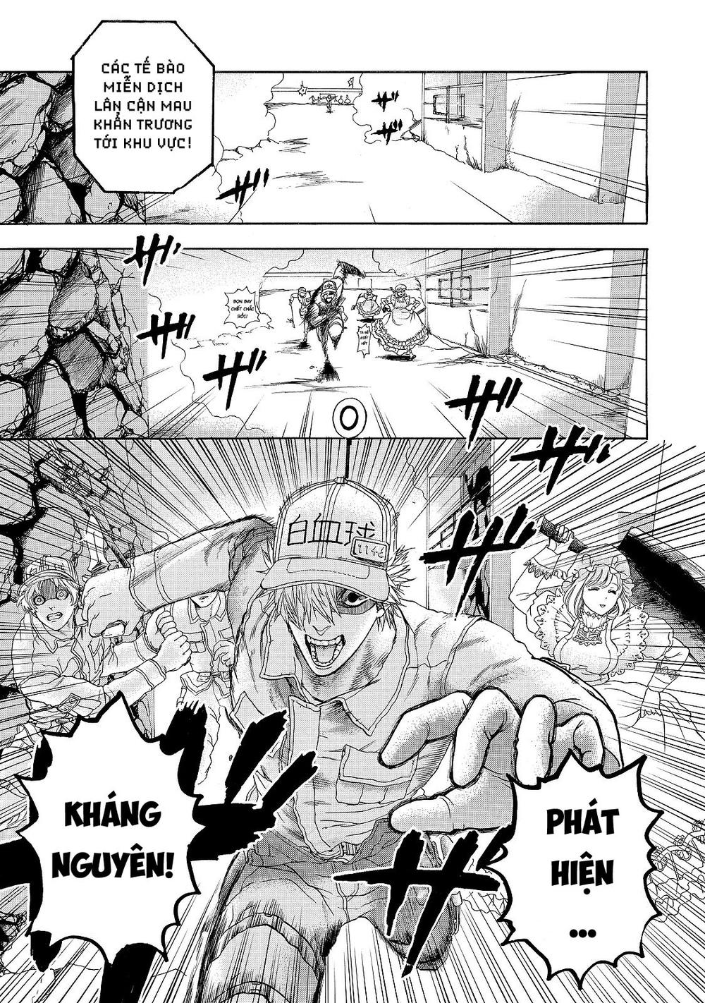 Hataraku Saibou! Chapter 16 - Trang 2