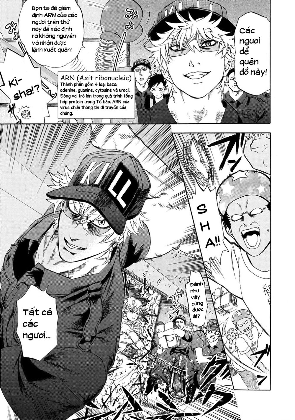 Hataraku Saibou! Chapter 11 - Trang 2