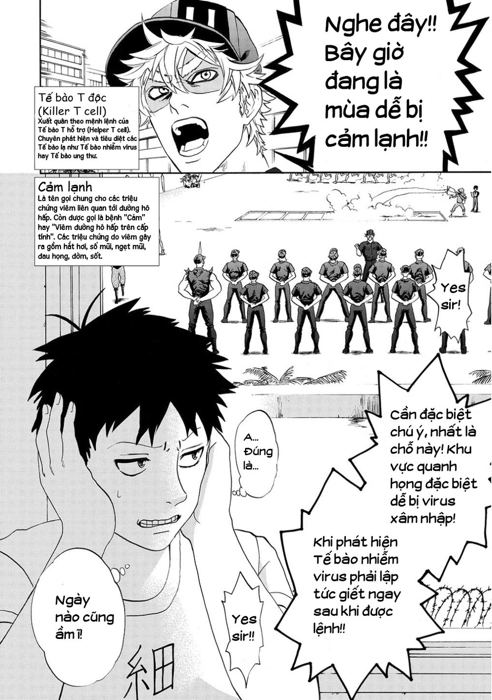 Hataraku Saibou! Chapter 11 - Trang 2