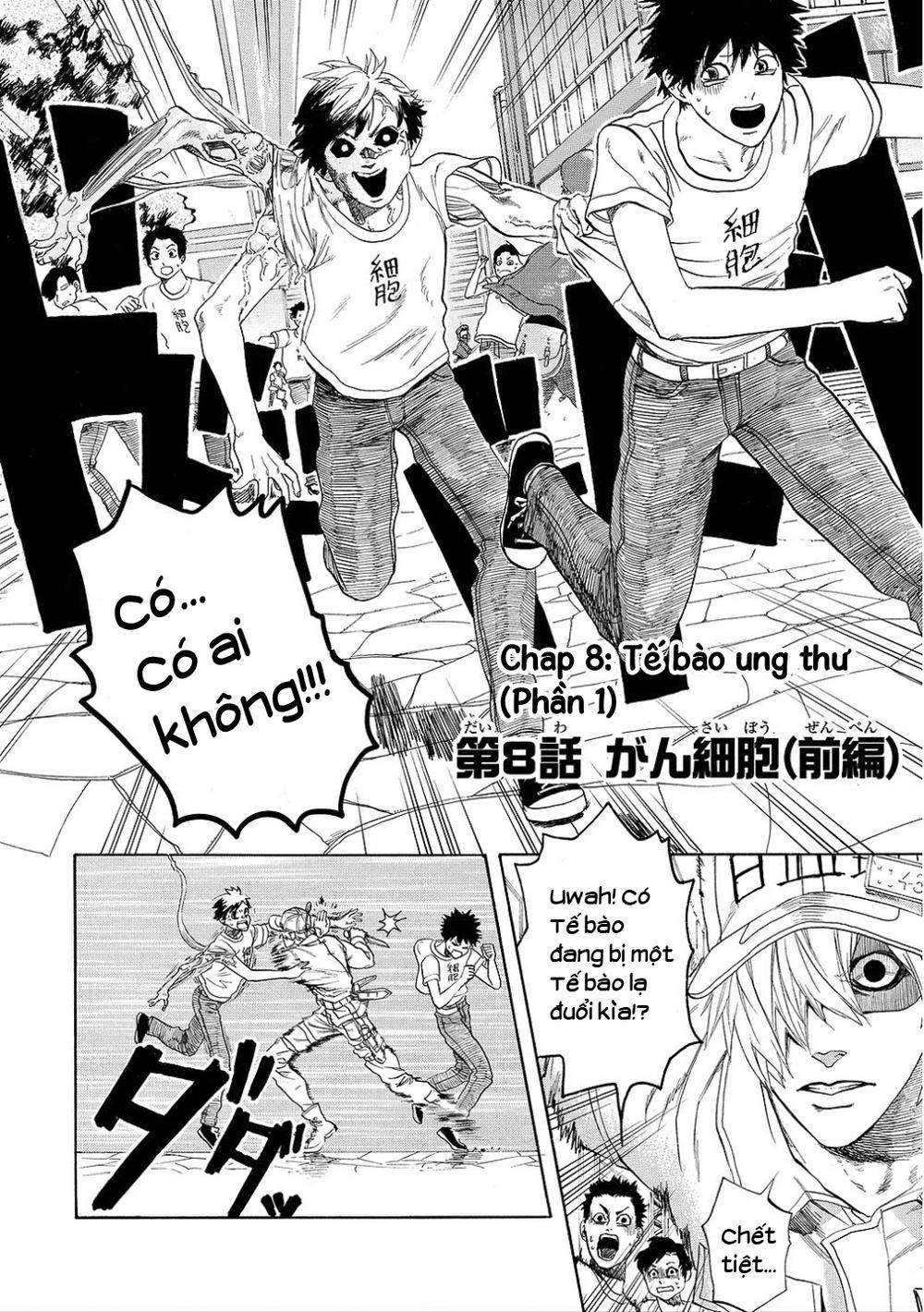 Hataraku Saibou! Chapter 8 - Trang 2