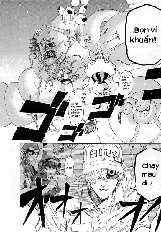 Hataraku Saibou! Chapter 4 - Trang 2