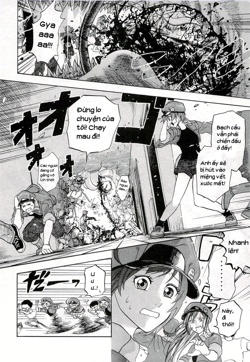 Hataraku Saibou! Chapter 4 - Trang 2