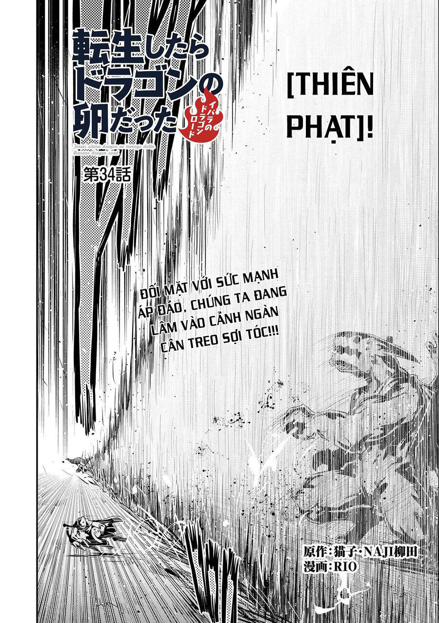 Tensei Shitara Dragon No Tamago Datta – Saikyou Igai Chapter 34 - Trang 2