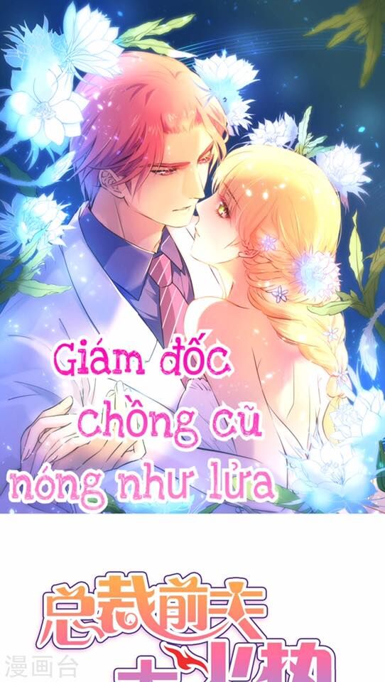 Giám Đốc Chồng Cũ Nóng Như Lửa Chapter 1 - Trang 2