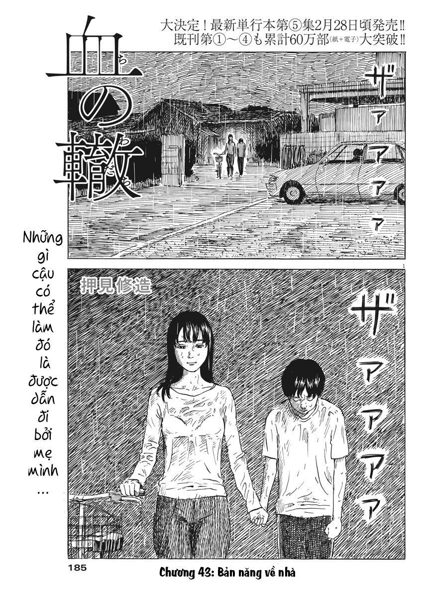 Đường Mòn Máu Chapter 43 - Trang 2