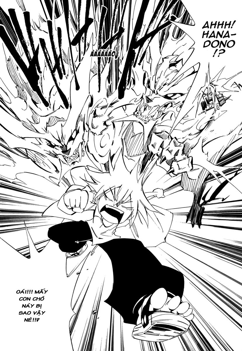 Shaman King: Flowers Chapter 3 - Trang 2