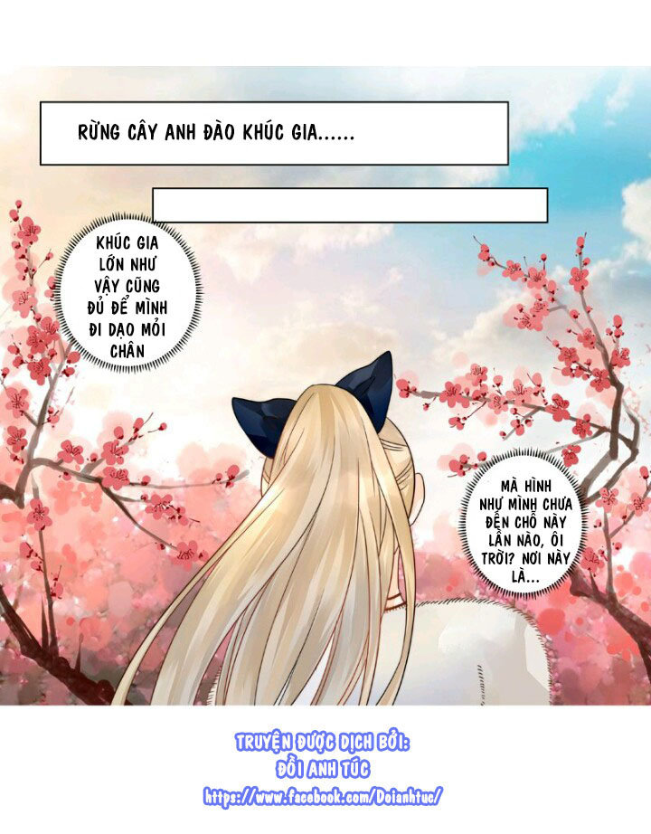 Ta Kim Chủ Bị Người Đoạt Chapter 3 - Trang 2