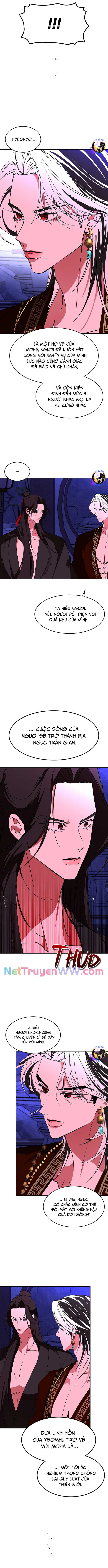 Chiến Lược Săn Hổ Của Nữ Thần Chapter 65 - Trang 2