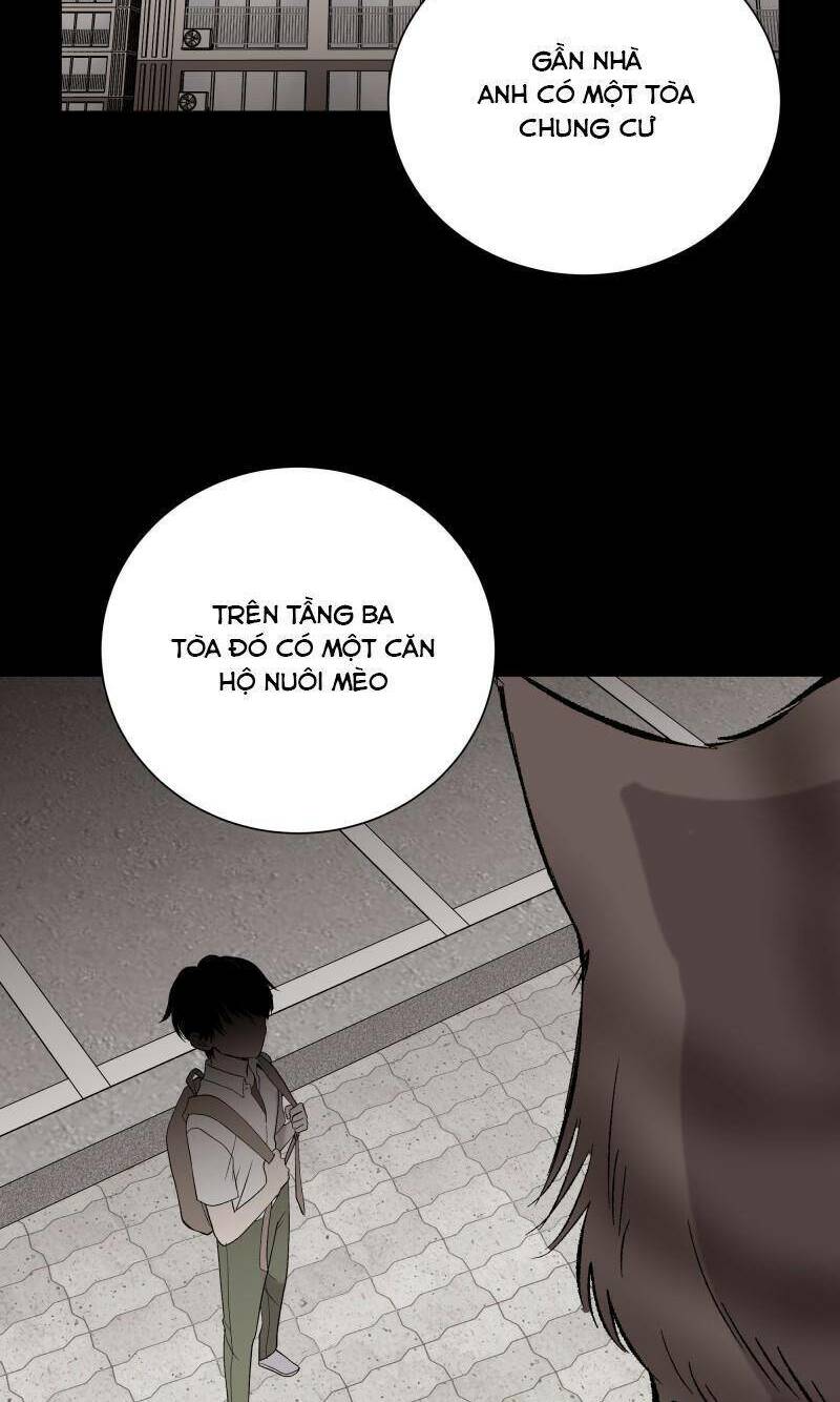 Anh Chàng Lầu Trên Chapter 27 - Trang 2