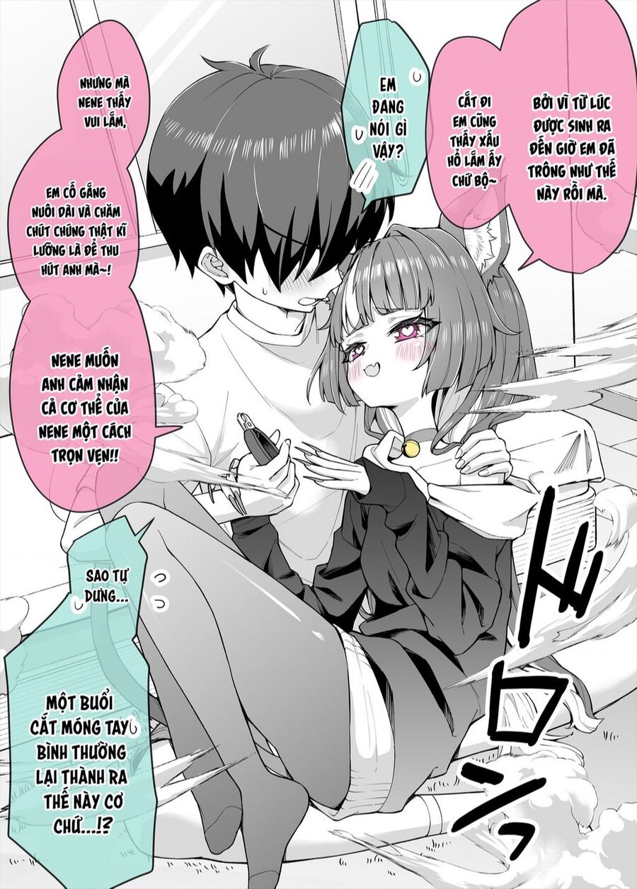 Bé Mèo Yandere Của Tôi Yêu Tôi Rất Nhiều Chapter 7 - Trang 2