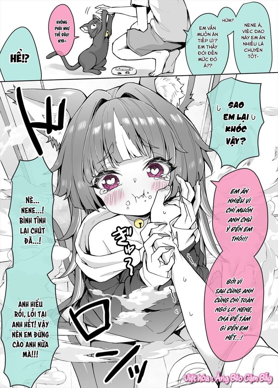 Bé Mèo Yandere Của Tôi Yêu Tôi Rất Nhiều Chapter 4 - Trang 2