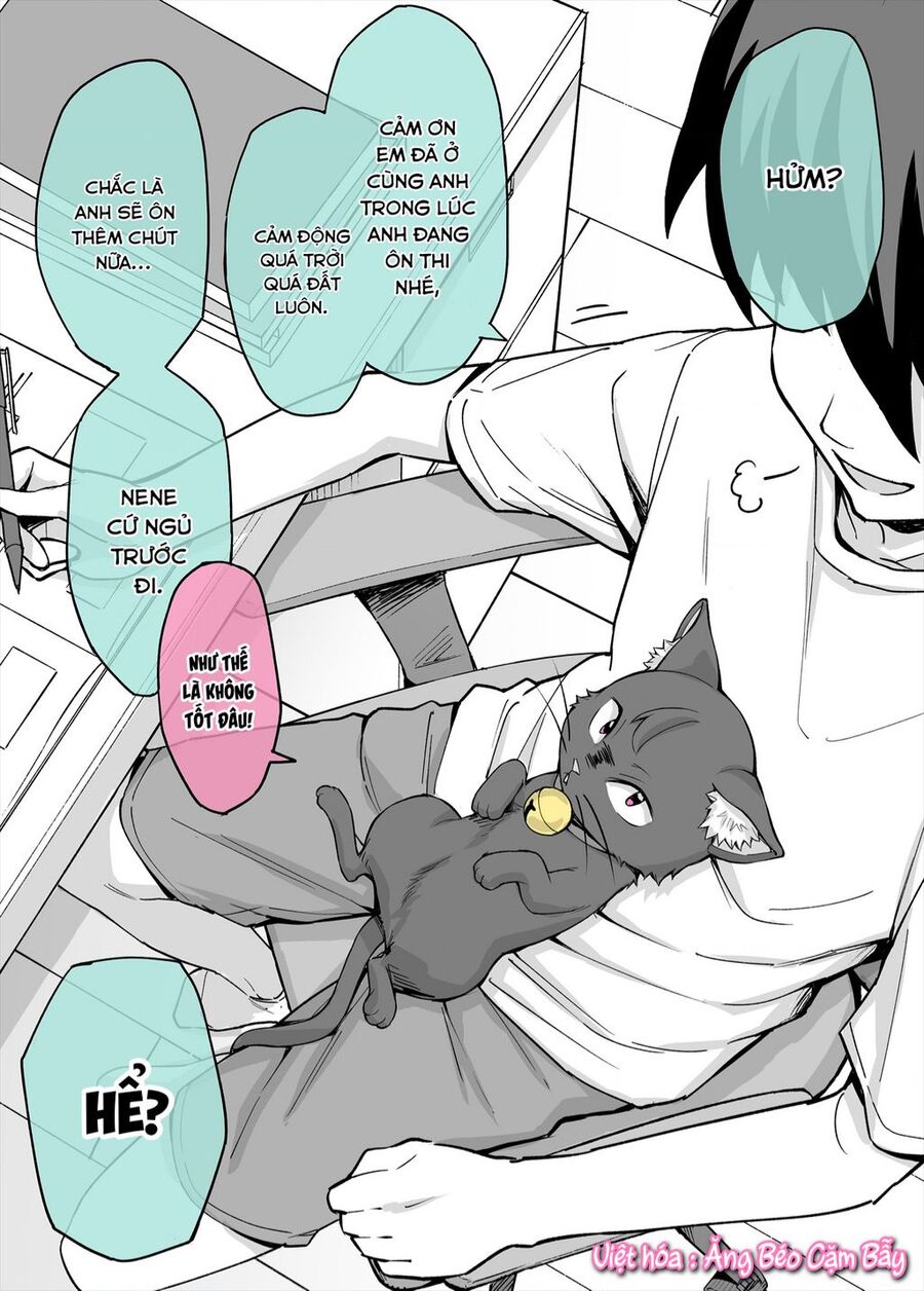 Bé Mèo Yandere Của Tôi Yêu Tôi Rất Nhiều Chapter 3 - Trang 2