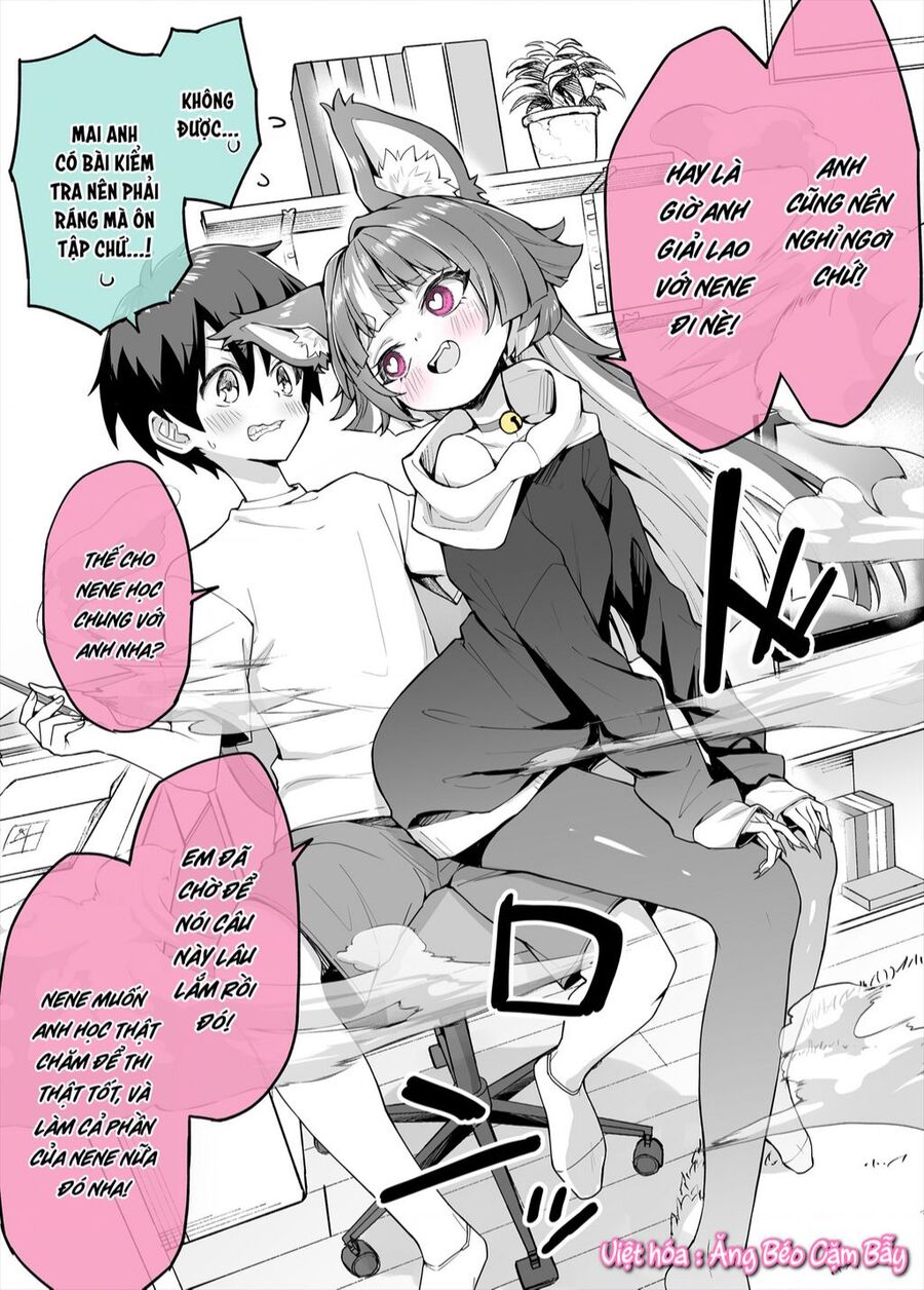 Bé Mèo Yandere Của Tôi Yêu Tôi Rất Nhiều Chapter 3 - Trang 2