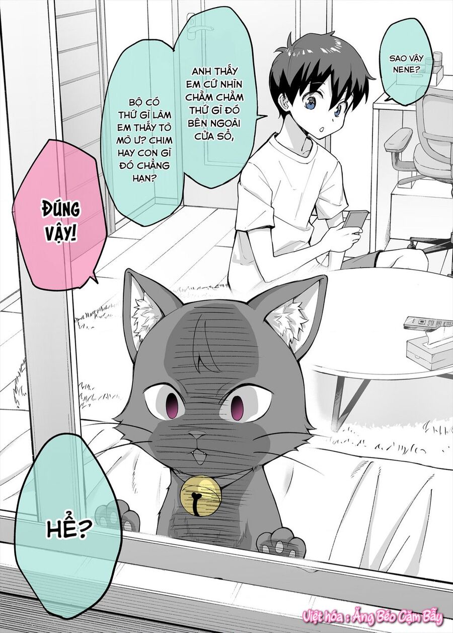 Bé Mèo Yandere Của Tôi Yêu Tôi Rất Nhiều Chapter 2 - Trang 2