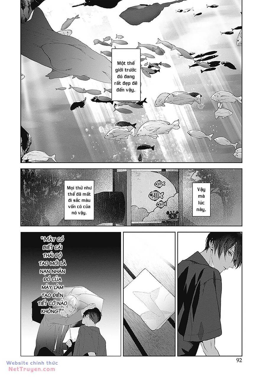 Mr.Blue Chapter 24 - Trang 2